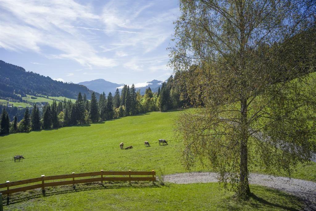 Bauernhof Hinterfirst Apartment Soll Exterior photo